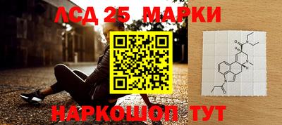 ешки Ставрополь