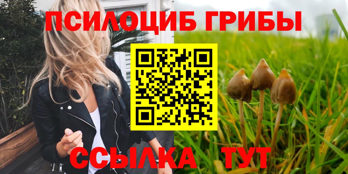 Галлюциногенные грибы Psilocybine cubensis  Вход с VPN  Отрадное 