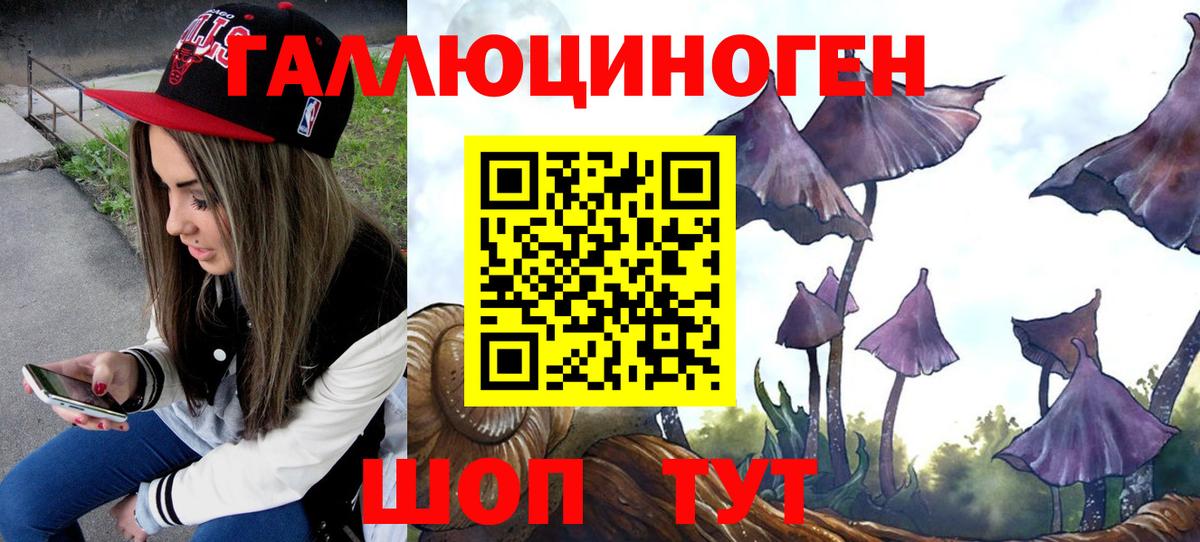 Псилоцибиновые грибы прущие грибы Отрадное